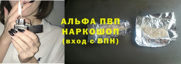 спайс Инта