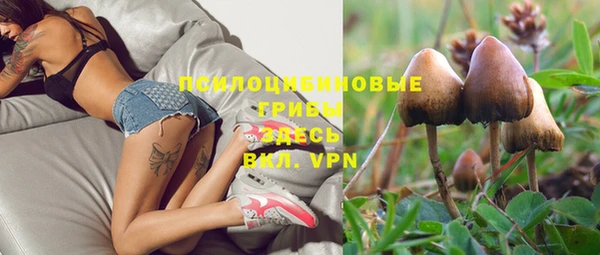 гашиш Инсар