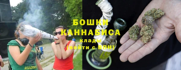 спайс Инта