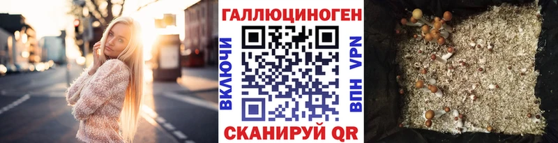 Псилоцибиновые грибы Cubensis  где продают   OMG ссылки  Коркино 